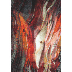 AKCE: 120x170 cm Kusový koberec Rust red 21304-910