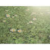 PVC podlaha Tex-Maxima 2002 Daisies