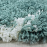 AKCE: 280x370 cm Kusový koberec Alvor Shaggy 3401 blue