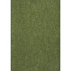 Neušpinitelný kusový koberec Nano Smart 591 zelený