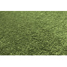 Neušpinitelný kusový koberec Nano Smart 591 zelený