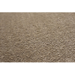 Neušpinitelný kusový koberec Nano Smart 261 hnědý