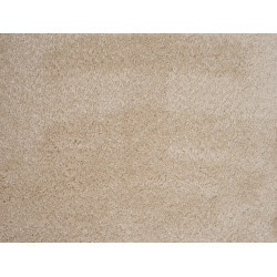 AKCE: 95x545 cm Metrážový koberec Gloria 04