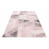AKCE: 80x150 cm Kusový koberec Delta 315 powder pink