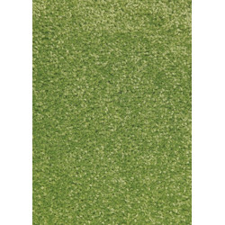 AKCE: 67x120 cm Kusový koberec Nasty 101149 Grün
