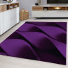 AKCE: 80x150 cm Kusový koberec Parma 9240 lila