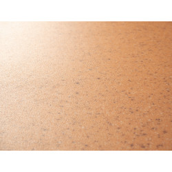 PVC podlaha - lino Master X 2971