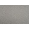 PVC podlaha Master X 2979