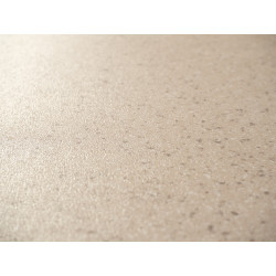 PVC podlaha - lino Master X 2983