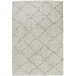 AKCE: 80x150 cm Kusový koberec Allure 102749 creme rosa