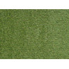 Kruhový travní koberec Botanic