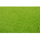 Kusový koberec Eton Srdce zelený