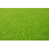 Kusový koberec Eton Srdce zelený