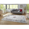 AKCE: 80x150 cm Kusový koberec Opulence 104711 Silver-multicolored