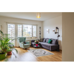 Kusový koberec Elite 3935 Grey