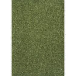 AKCE: 80x150 cm Neušpinitelný kusový koberec Nano Smart 591 zelený