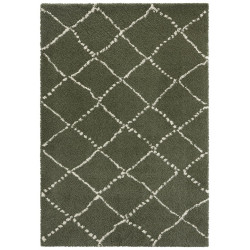 AKCE: 120x170 cm Kusový koberec Allure 104404  Olive-Green/Cream
