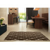 Kusový koberec Artos 1716 Brown