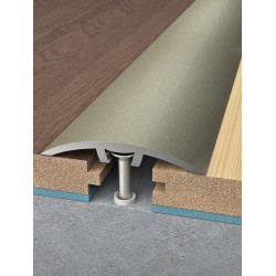 Přechodová lišta (profil) Champagne