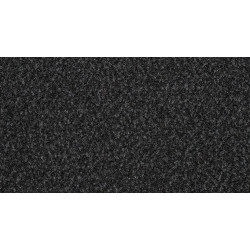 AKCE: 200x770 cm Čistící zóna Robust 130 černá