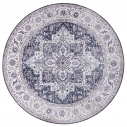 AKCE: 160x160 (průměr) kruh cm Kusový koberec Asmar 104003 Mauve/Pink kruh