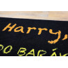 Rohožka Harry 40x60 cm