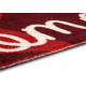 AKCE: 50x70 cm Protiskluzová rohožka Deko 105356 Brick red