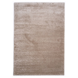AKCE: 80x150 cm Kusový koberec Topas 45
