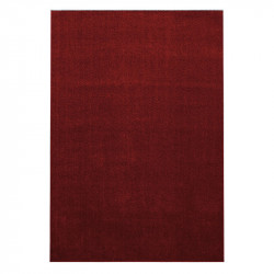 AKCE: 80x150 cm Kusový koberec Ata 7000 red