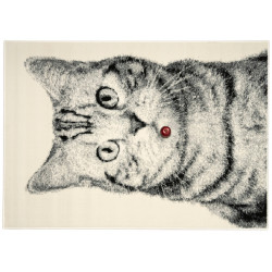 Kusový koberec Cat grey