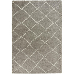 AKCE: 120x170 cm Kusový koberec Allure 102752 grau creme