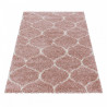 AKCE: 60x110 cm Kusový koberec Salsa Shaggy 3201 rose