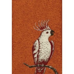 Kusový koberec Kakadu orange