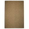 AKCE: 200x300 cm Kusový koberec Alassio zlatohnědý