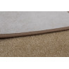 AKCE: 300x400 cm Kusový koberec Eton béžový 70