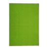 AKCE: 57x120 cm Kusový koberec Eton zelený 41