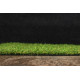 AKCE: 130x280 cm Umělá tráva Robina metrážní