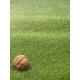 AKCE: 30x900 cm Umělá tráva Rosemary metrážní