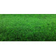 AKCE: 115x200 cm Umělá tráva Green 20 metrážní