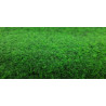 AKCE: 100x260 cm Umělá tráva Green 20 metrážní