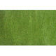 AKCE: 98x2400 cm Umělá tráva Rosemary metrážní