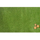 AKCE: 98x2400 cm Umělá tráva Rosemary metrážní