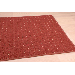 Kusový koberec Udinese terra