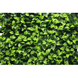 Umělý rostlinný panel FRESH LIGHT GREEN 50 x 50 cm