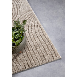 Běhoun Gallery 106084 Beige z kolekce Elle