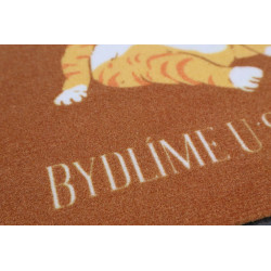 Rohožka Bydlíme u své kočky 40x60 cm