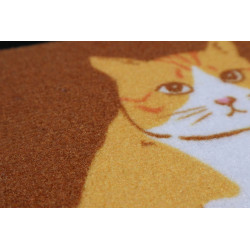 Rohožka Bydlíme u své kočky 40x60 cm