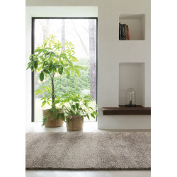 Kusový koberec Lana 0301 910