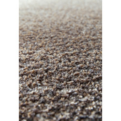 Kusový koberec Lana 0301 910