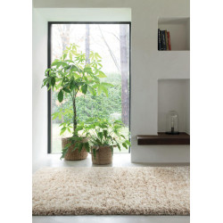 Kusový koberec Rhapsody 2501 101